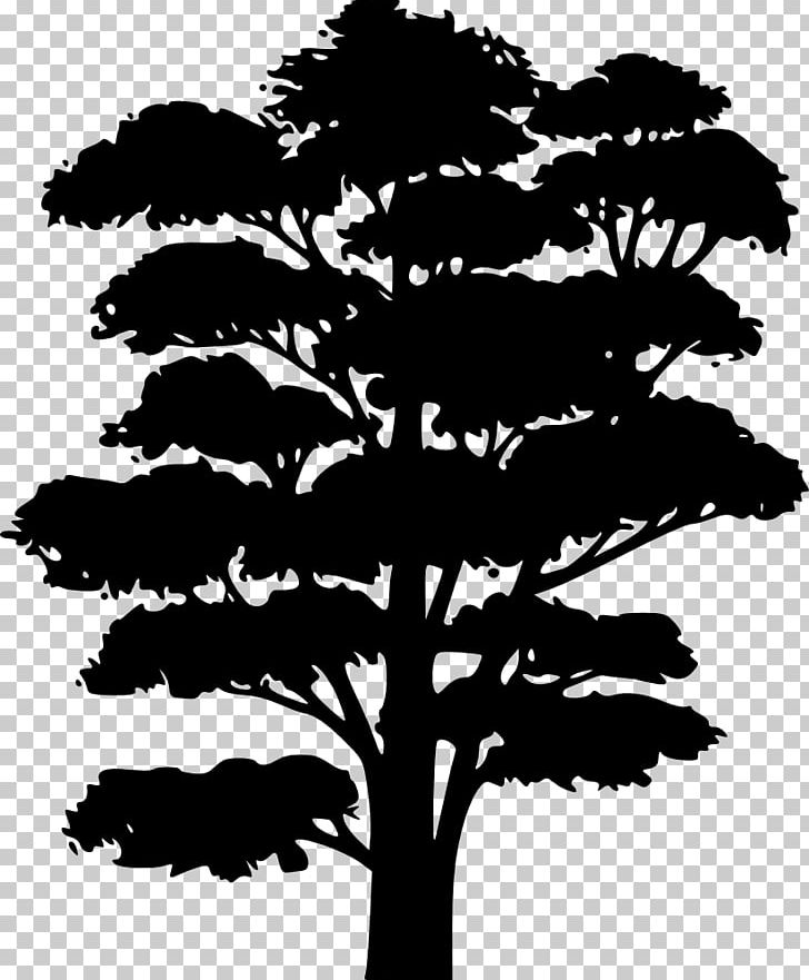 Tree Silhouette PNG, Clipart, Arecaceae, Black And White, Branch, Color, Drawing Free PNG Download