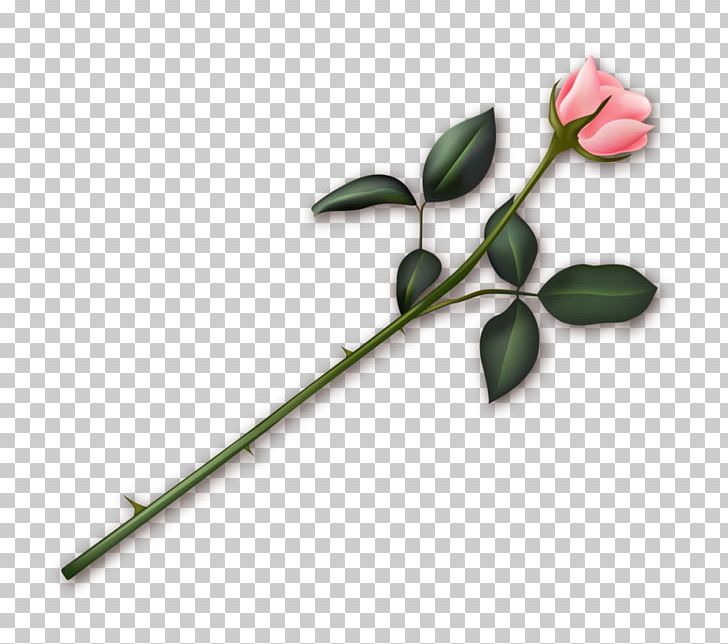 Valentine's Day Heart PNG, Clipart, Branch, Bud, Computer Software, Download, Flora Free PNG Download