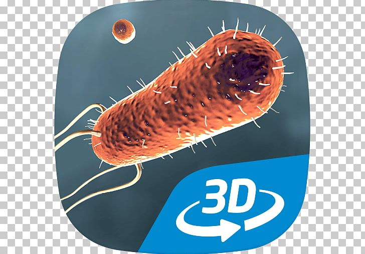 Virtual Reality Human Body VR Word Chase Android PNG, Clipart, 3 D, 3d Computer Graphics, Anatomy, Android, Bacteria Free PNG Download