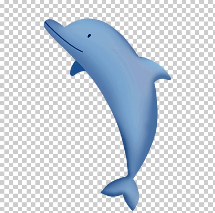 Dolphin Gratis PNG, Clipart, Animals, Blue, Blue Background, Christmas Decoration, Common Bottlenose Dolphin Free PNG Download