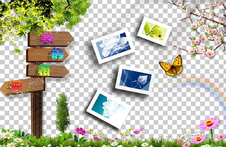 Icon PNG, Clipart, Asphalt Road, Designer, Download, Flora, Floral Design Free PNG Download