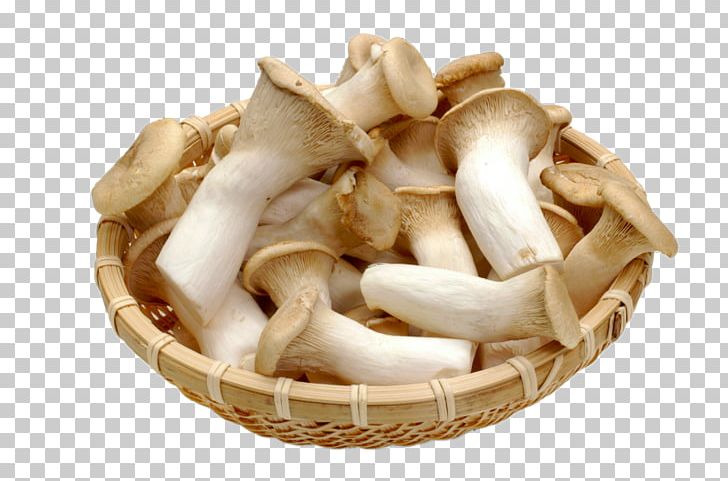 Pleurotus Eryngii Japanese Cuisine Oyster Mushroom Zosui PNG, Clipart, Coin Stack, Cooking, Food, Material, Mushroom Cloud Free PNG Download
