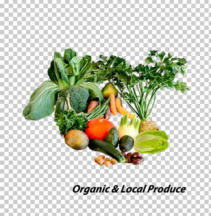 Food Nutrition Vegetable Vegetarian Cuisine Health PNG, Clipart, Alkaline Diet, Diet, Dietary Fiber, Diet Food, Eating Free PNG Download