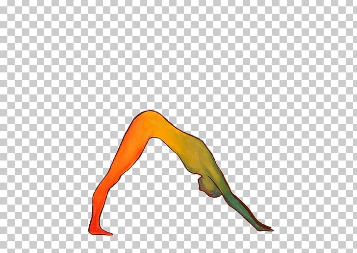 Goga Yoga Liman PNG, Clipart, 5 January, Arm, Arrow, Blog, Goga Free PNG Download