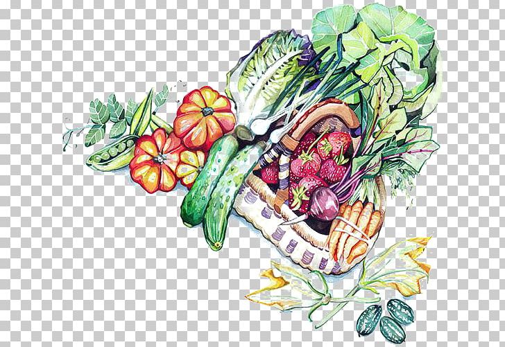 Vegetable Watercolor Painting Floral Design Illustration PNG, Clipart, Art, Cabbage, Cartoon, Creative Arts, Cucumber Free PNG Download
