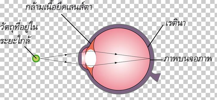 Light Eye Product Design Diagram PNG, Clipart, Angle, Area, Circle, Diagram, Ear Free PNG Download