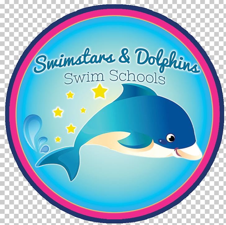 Swimstars & Dolphins @ Hall Cross Academy Swimming Lessons Child PNG, Clipart, Area, Bank Holiday, Blue, Child, Dolphin Free PNG Download