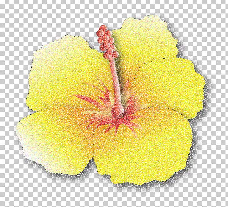 Mallows Hibiscus Flowering Plant Petal PNG, Clipart, Family, Flower, Flowering Plant, Hibiscus, Mallow Free PNG Download