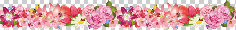 Flower Border Flower Background Floral Line PNG, Clipart, Cut Flowers, Floral Line, Flower, Flower Background, Flower Border Free PNG Download