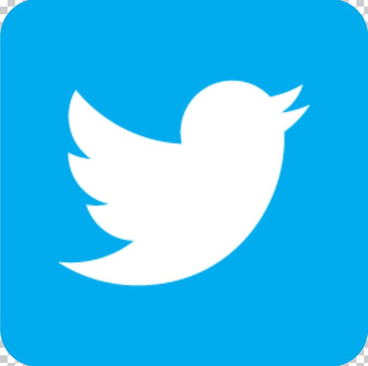 Computer Icons Logo Social Media PNG, Clipart, Area, Azure, Beak, Bird, Blue Free PNG Download