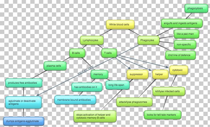 Essay Bar Chart Writing Term Paper PNG, Clipart, Argumentative, Bar Chart, Chart, Diagram, Electronics Accessory Free PNG Download