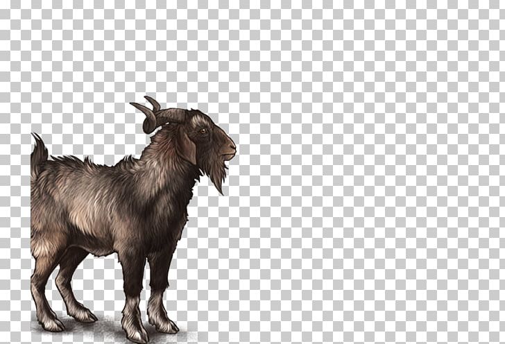 Goat Fauna Wildlife Snout PNG, Clipart, Cow Goat Family, Fauna, Goat, Goat Antelope, Goats Free PNG Download