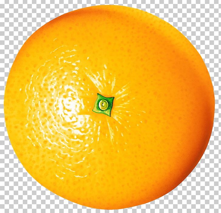 Mandarin Orange Fruit Photography Food PNG, Clipart, Bitter Orange, Citric Acid, Citron, Citrus, Clementine Free PNG Download