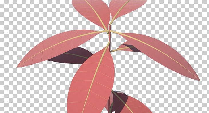 Petal Pink M Leaf PNG, Clipart, Flora, Flower, Leaf, Petal, Pink Free PNG Download