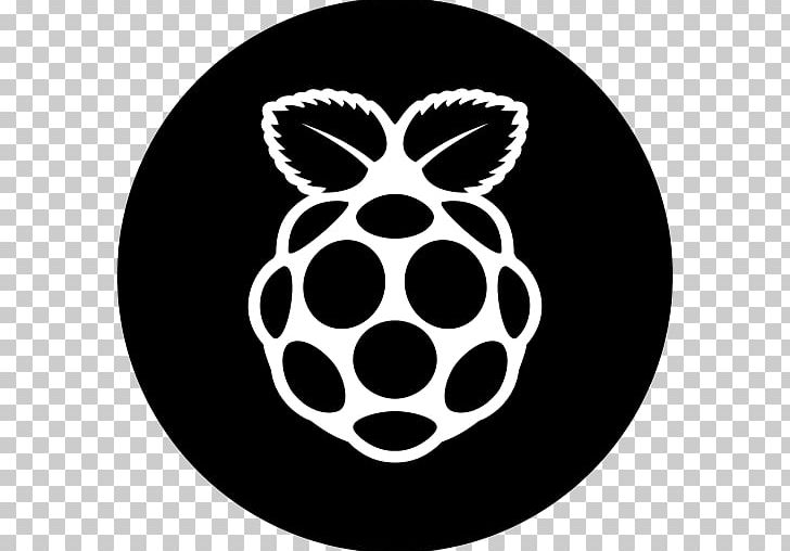 Raspberry Pi Computer Icons Secure Digital PNG, Clipart, Black, Black And White, Circle, Computer, Computer Icons Free PNG Download