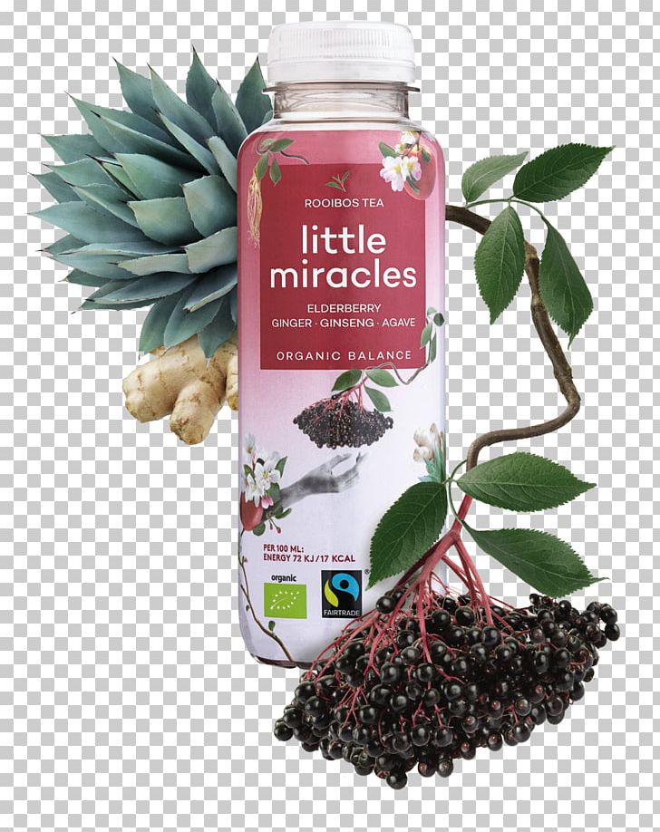 Superfood International Society For Technology In Education Rooibos Herb Milliliter PNG, Clipart, Elderberry, Herb, Herbal, Milliliter, Miscellaneous Free PNG Download