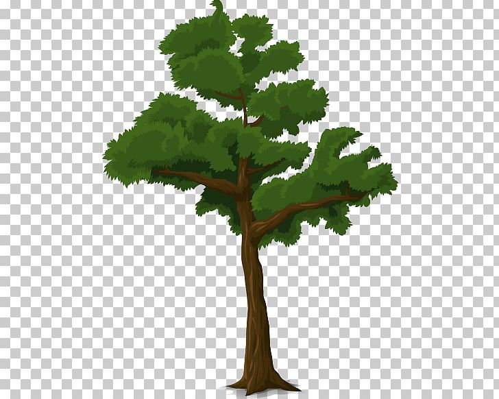 Tree Trunk PNG, Clipart, Branch, Computer Icons, Desktop Wallpaper, Download, Evergreen Free PNG Download