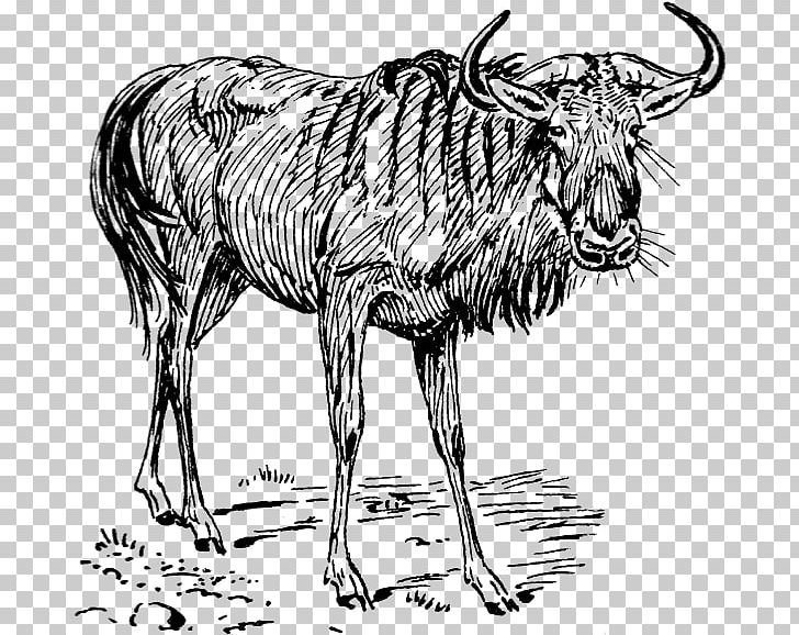 Wildebeest PNG, Clipart, Black And White, Cattle Like Mammal, Computer Icons, Cow Goat Family, Drawing Free PNG Download