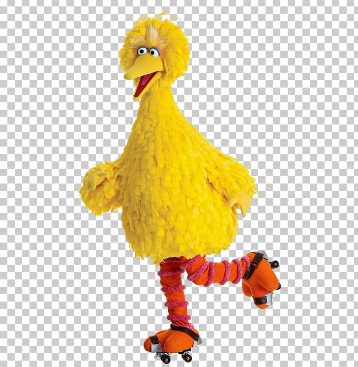 Big Bird Elmo Mega Limited Desktop PNG, Clipart, Beak, Big Bird, Bird, Chicken, Costume Free PNG Download