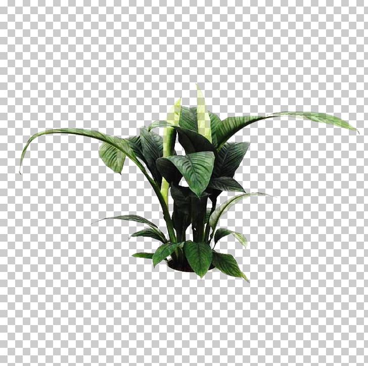 Cut Flowers Flowerpot Plant Stem Leaf PNG, Clipart, Cut Flowers, Flower, Flowerpot, Leaf, Plant Free PNG Download