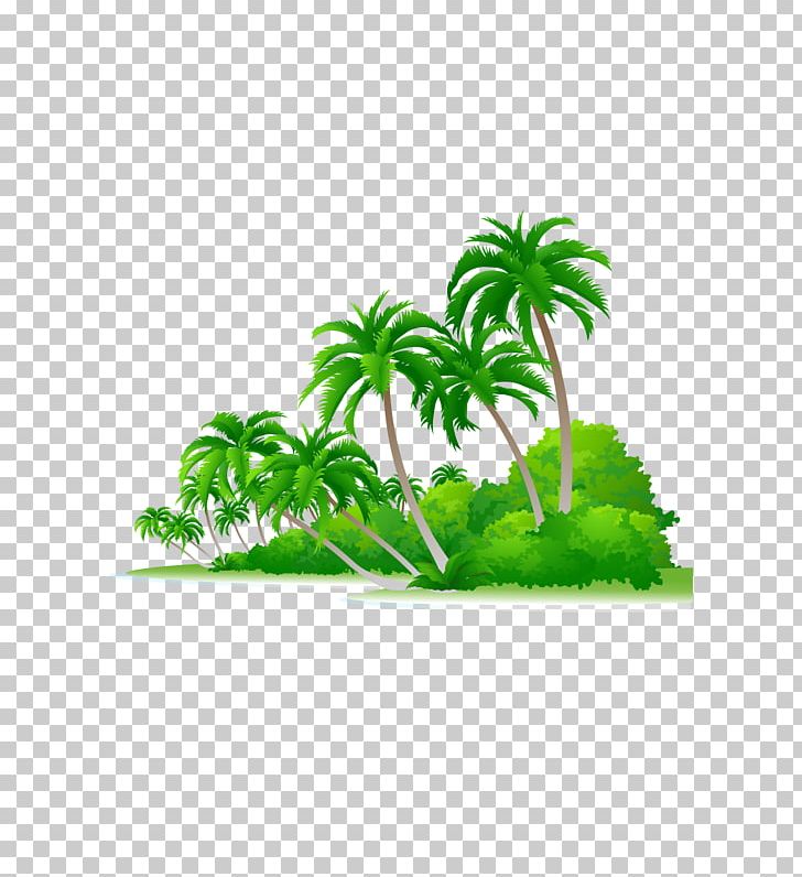Graphics Euclidean Illustration PNG, Clipart, Aquarium Decor, Arecales, Beach Coconut Tree, Computer Icons, Download Free PNG Download