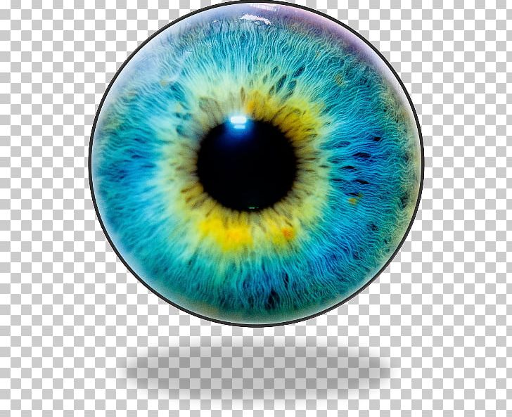 Iris Human Eye Pupil Eye Color PNG, Clipart, Accommodation, Blue, Circle, Closeup, Color Free PNG Download