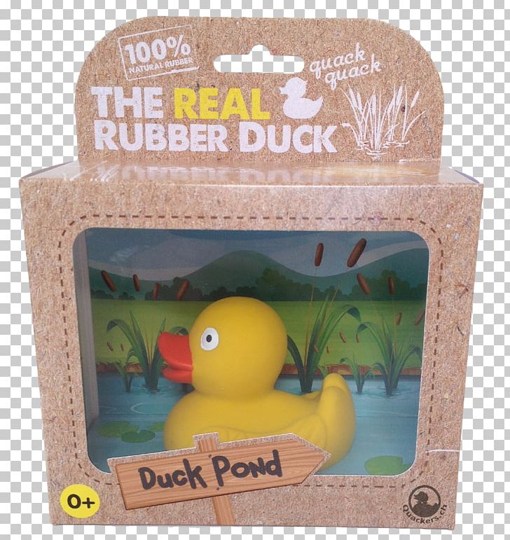 Rubber Duck Toy Yellow Plastic PNG, Clipart, Animal, Animals, Duck, Natural Rubber, Plastic Free PNG Download