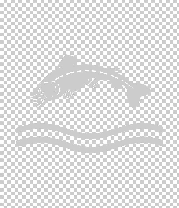 Tullie House Museum And Art Gallery Marine Mammal White PNG, Clipart, Angle, Art, Art Museum, Black, Black And White Free PNG Download