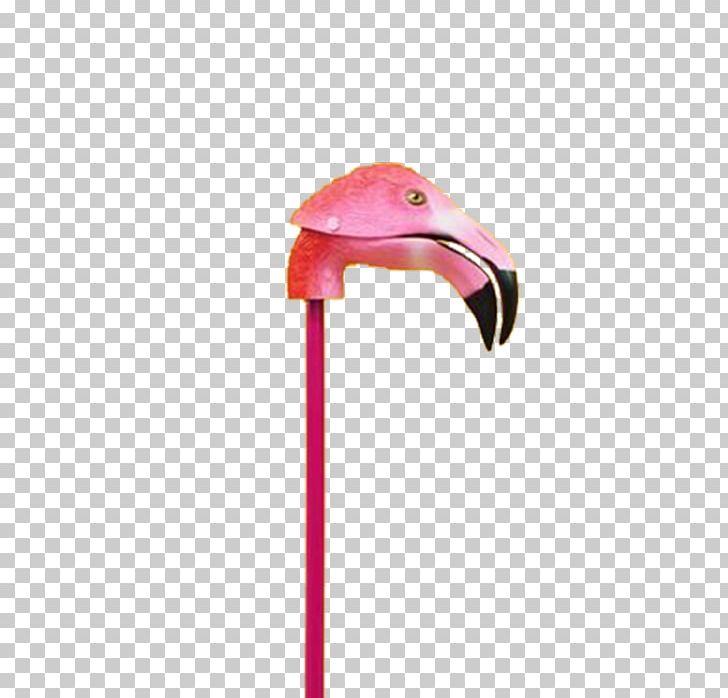 Flamingo Bird Pink PNG, Clipart, Animals, Beak, Bird, Birds, Cartoon Flamingo Free PNG Download