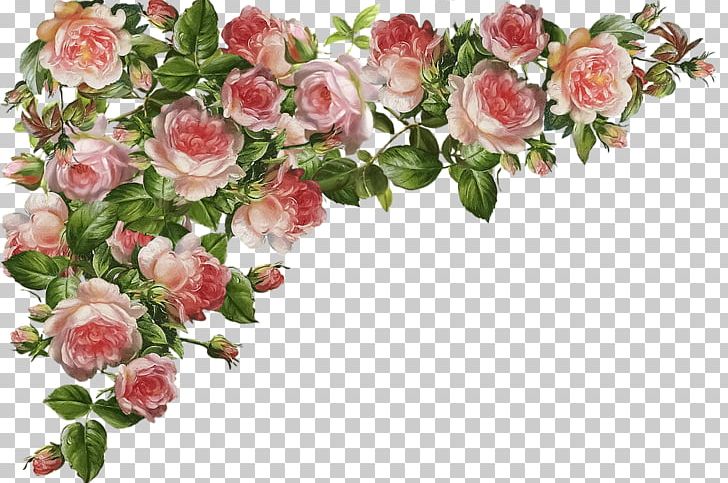 Garden Roses Centifolia Roses PNG, Clipart, Artificial Flower, Centifolia Roses, Cut Flowers, Encapsulated Postscript, Floral Design Free PNG Download