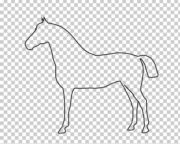Horse Foal Stallion PNG, Clipart, Animals, Artwork, Black And White, Bridle, Collection Free PNG Download