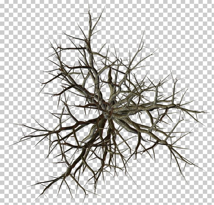 Tree Branch Snag PNG, Clipart, Birch, Black And White, Branch, Broadleaved Tree, Clip Art Free PNG Download