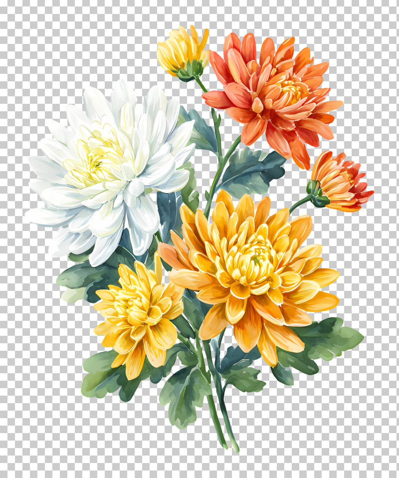 Colorful Chrysanthemum Bouquet PNG