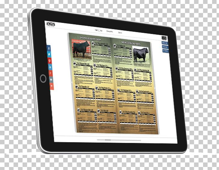 Angus Cattle Beef Cattle Angus Journal PNG, Clipart, Angus, Angus Cattle, Beef, Beef Cattle, Cattle Free PNG Download