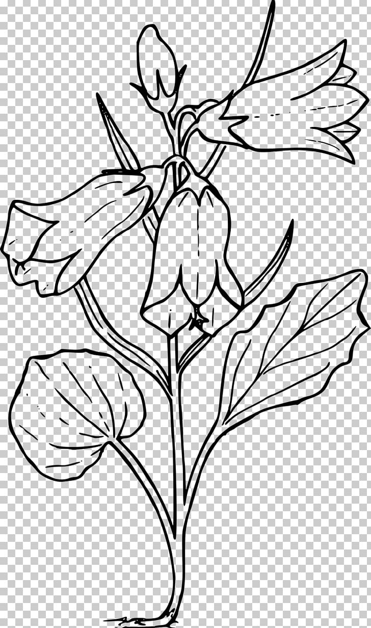Harebell Drawing Wildflower PNG, Clipart, Art, Artwork, Bellflowers, Branch, Fictional Character Free PNG Download
