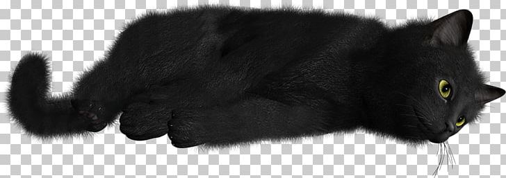 Black Cat Kitten Whiskers Domestic Short-haired Cat PNG, Clipart, Animals, Black, Black And White, Black Cat, Black M Free PNG Download