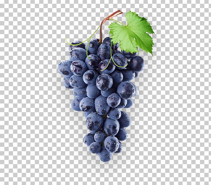 Common Grape Vine Concord Grape Wine Isabella PNG, Clipart, Bilberry, Blueberry, Common Grape Vine, Concord Grape, Flame Seedless Free PNG Download