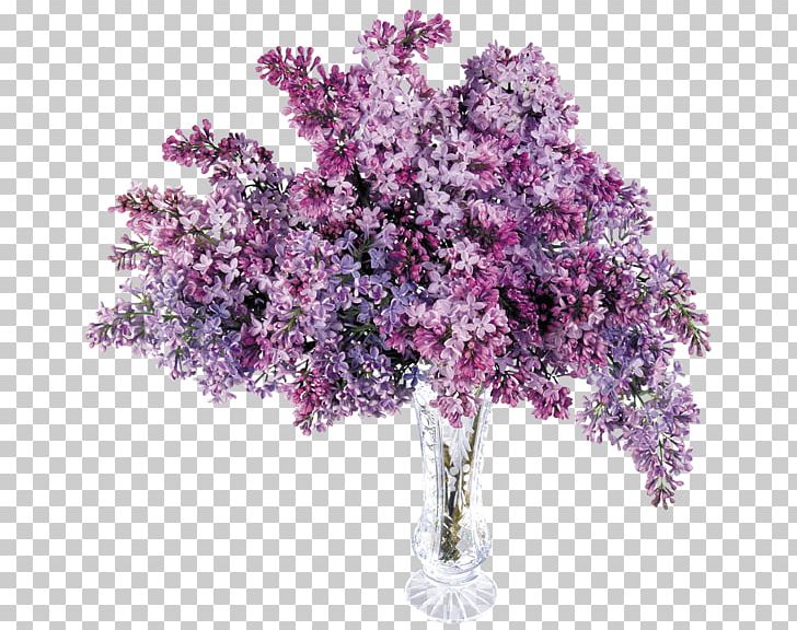 Common Lilac Flower PNG, Clipart, Artificial Flower, Blossom, Branch, Clip Art, Common Lilac Free PNG Download
