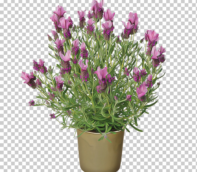 Artificial Flower PNG, Clipart, Artificial Flower, Cut Flowers, English Lavender, Floral Design, Flower Free PNG Download