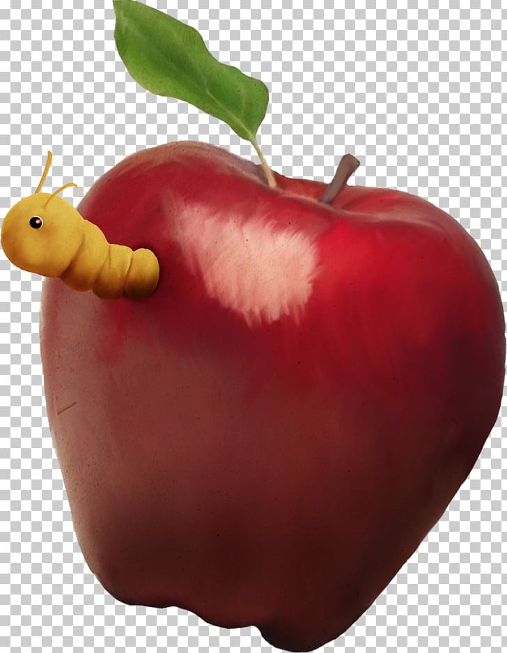 Apple Food PNG, Clipart, Apple, Apple Fruit, Apple Logo, Apples, Apple Tree Free PNG Download