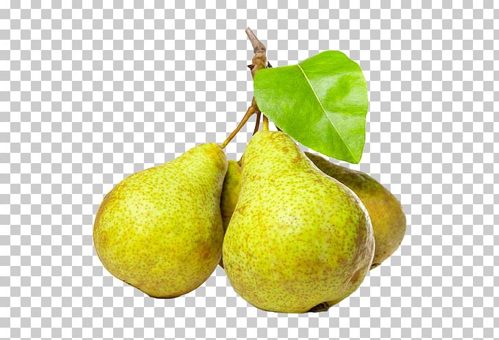 Comice Pears Fruit Doyenné Williams Pear PNG, Clipart, Can Stock Photo, Citrus, Comice, Comice Pears, Conference Pear Free PNG Download