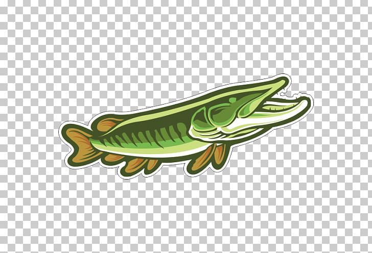 Drawing Muskellunge PNG, Clipart, Amphibian, Animation, Art, Cartoon, Computer Icons Free PNG Download