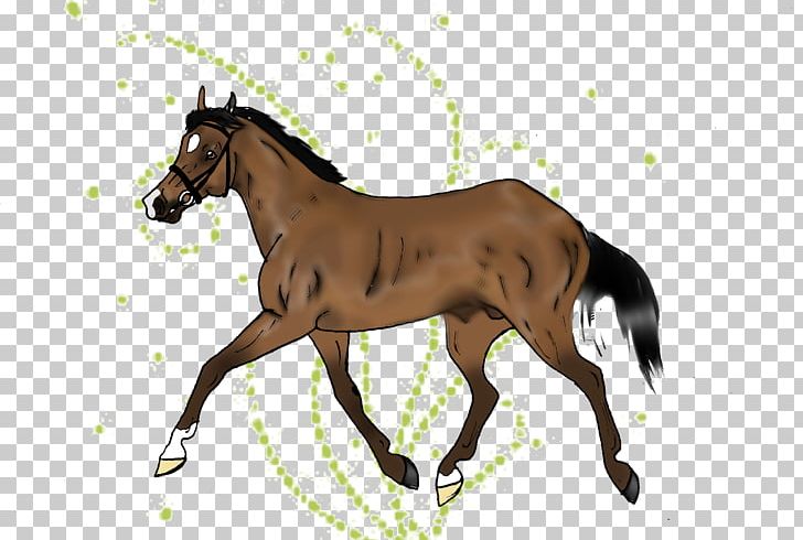 Mustang Hanoverian Horse Colt Foal Stallion PNG, Clipart, Bridle, Cinammon, Colt, Donnerhall, English Riding Free PNG Download