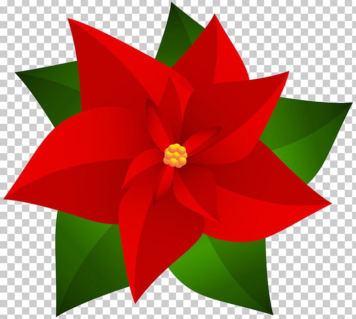 Poinsettia Christmas PNG, Clipart, Art, Art Black, Christmas, Christmas Gift, Digital Image Free PNG Download