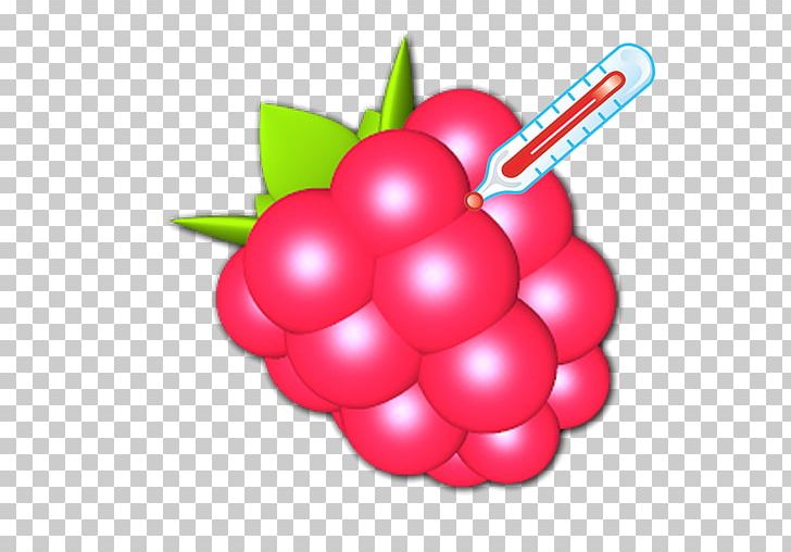 Raspberry Pi Android PNG, Clipart, Android, Android Pc, Apk, App, Berry Free PNG Download