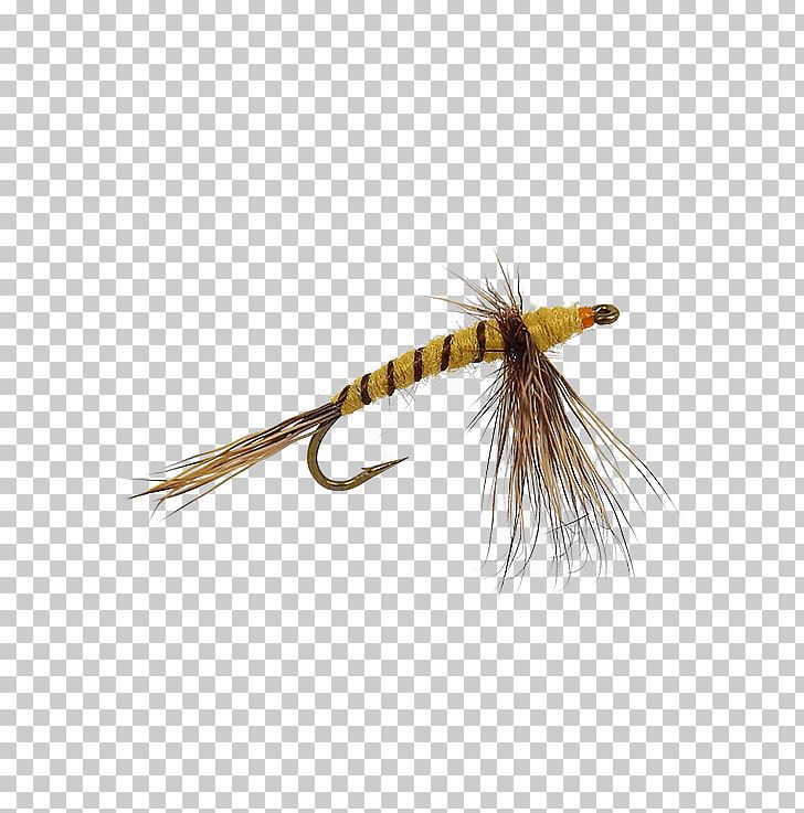 Artificial Fly Woolly Bugger 2000 Ford Ranger XL Electric NIMH 2000 Ford Ranger XL Electric Lead Acid PNG, Clipart,  Free PNG Download