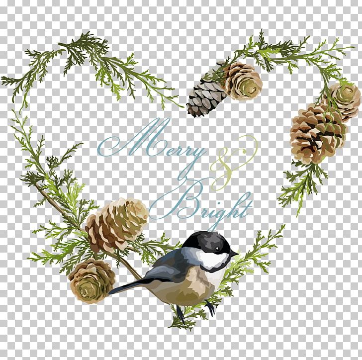 Bird Euclidean Christmas Illustration PNG, Clipart, Animal, Animals, Bird, Bird Cage, Branch Free PNG Download