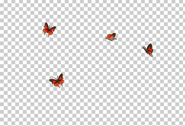 Insect Line Sky Plc Lady Bird Font PNG, Clipart, Animals, Atmosphere Of Earth, Bird, Butterfly, Fly Free PNG Download