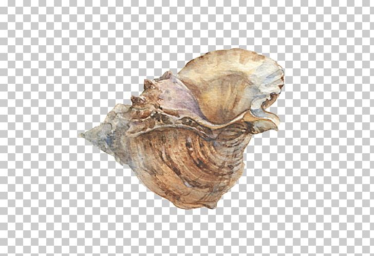 Painting Illustrator Illustration PNG, Clipart, Clam, Clams Oysters Mussels And Scallops, Creative Background, Creative Work, Creativity Free PNG Download