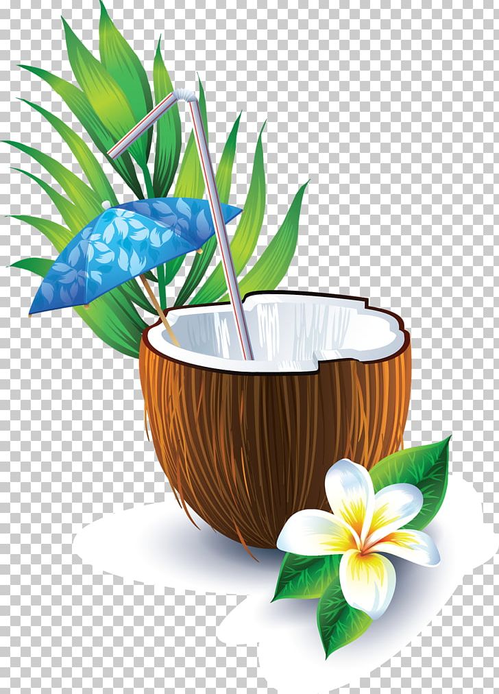 Coconut Water Cocktail Coconut Milk PNG, Clipart, Cocktail, Coconut, Coconut Milk, Coconut Oil, Coconut Water Free PNG Download